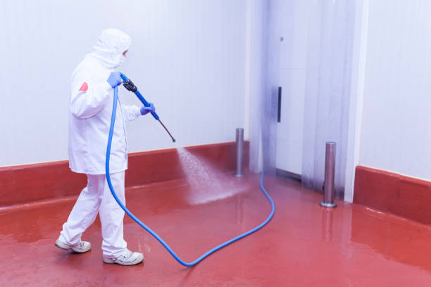 Best Soft Washing  in Rankin, PA